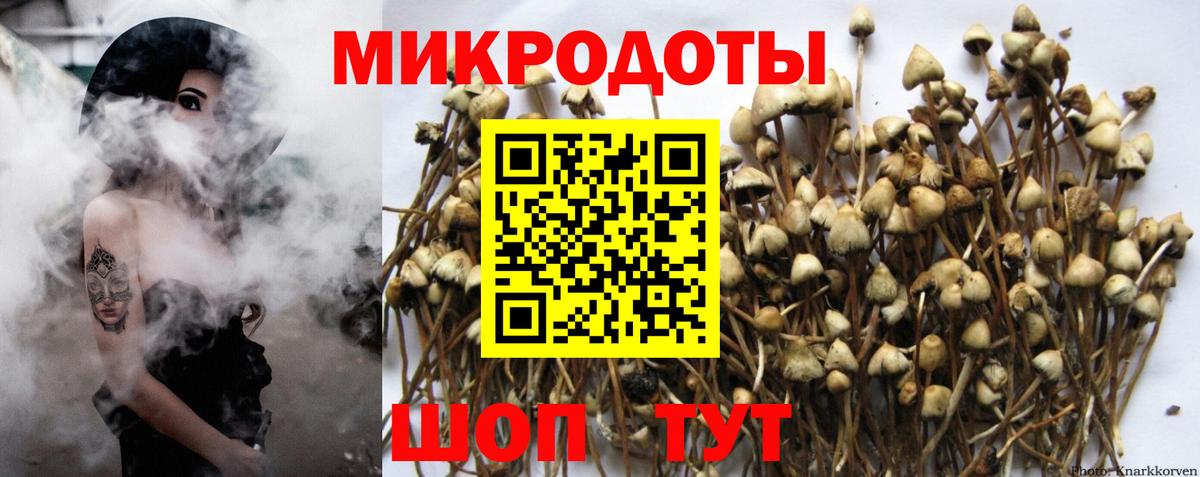 Галлюциногенные грибы Psilocybe  Псилоцибиновые грибы Magic Shrooms  дарнет шоп  Махачкала  Вход с VPN 